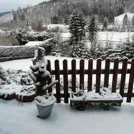 Vakantiehuis Haus Ani Winterberg
