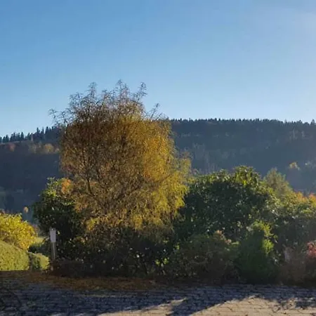 Haus Ani Winterberg
